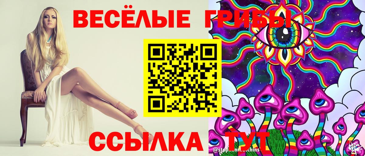 закладка  Вход с VPN  Елизово  Галлюциногенные грибы ЛСД  Галлюциногенные грибы Cubensis 