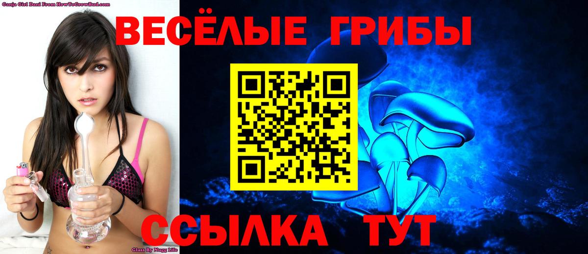 Галлюциногенные грибы GOLDEN TEACHER Елизово